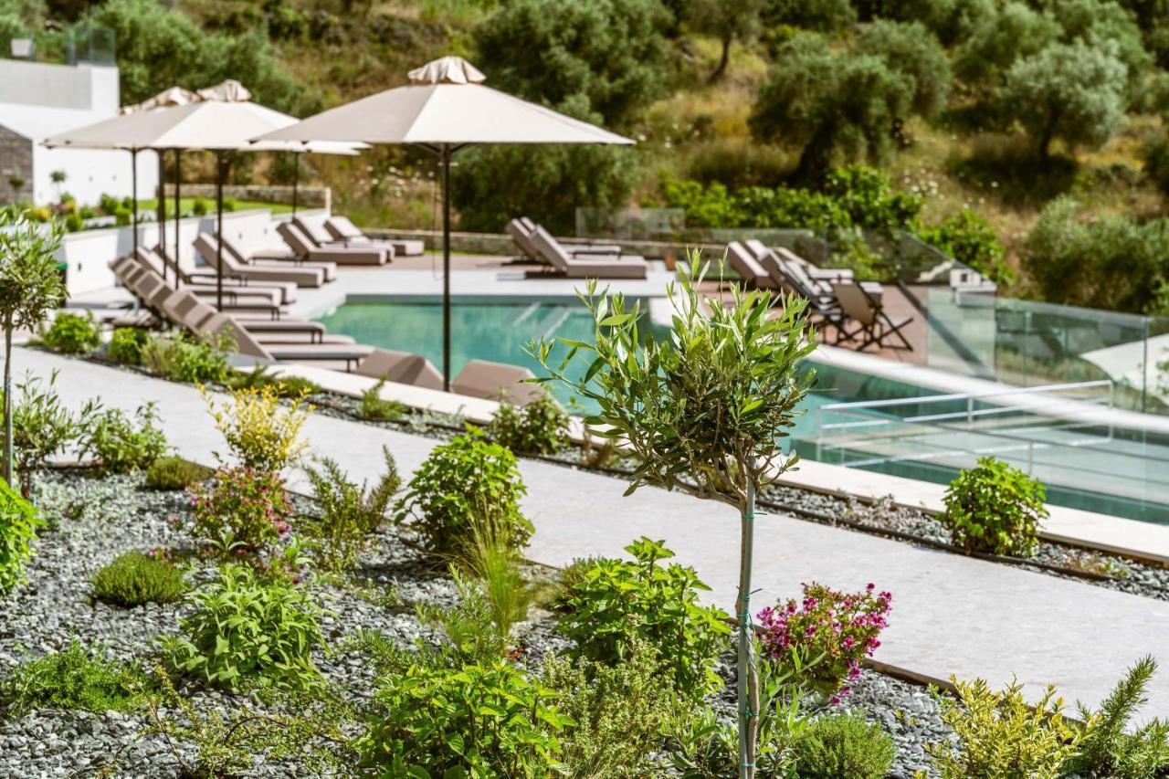 פרדיקה The View Hotel Sofas Coastal Retreat מראה חיצוני תמונה
